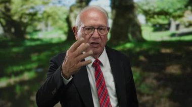 Takım elbiseli kıdemli bir adam parkta el kol hareketi yaparak mesleki güven ve bilgelik hissi veriyor.