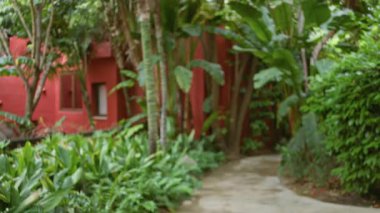 Bulanık tropikal otel yolu yemyeşil yeşillik ve canlı kırmızı duvarlarla, lüks bir açık hava ortamında davetkar bir bokeh etkisi yaratır..