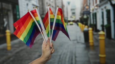 Bir şehir caddesinde çoklu gökkuşağı bayraklarının tutulması, gündüz etkinliklerinde canlı bir şehir ortamında lgbtq gururunu simgeler, açık havada çeşitlilik ve kapsayıcılık gösterir..