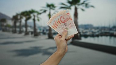 Adam, açık denizcilik ortamında para birimini ön plana çıkaran, tekneli ve palmiye ağaçlı bir deniz kenarı zeminine karşı tekli dolar tutuyor..