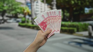 İzlanda Krona 'sını elinde tutan adam şehir sokaklarında yeşil geçmişi bulanık, şehir ortamında para değişimi ya da para birimi kavramını tasvir ediyor..