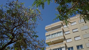 Torrevieja 'da güneşli bir gün. Açık mavi gökyüzü ağaç dalları ve modern bir apartman dairesi tarafından çerçevelenmiş. Şehir mimarisi ve doğa uyumu özünü yansıtıyor..
