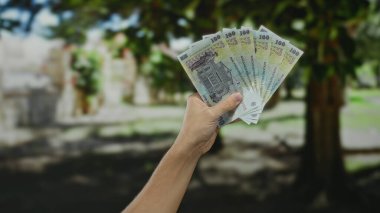 Kafkasyalı bir adam parkın dışında Romen banknotlarını tutuyor ve doğal bir fon karşısında para birimini vurguluyor..