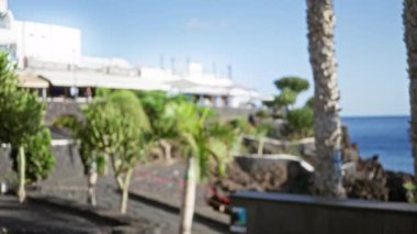 Lanzarote 'deki bulanık palmiye ağaçları ve binalar, kanarya adaları, kıyı İspanya' sını gözler önüne seren bokeh arka planı.