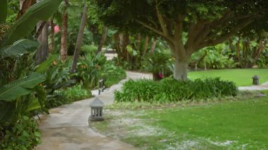 Tropik bir tatil köyü ortamında yemyeşil bir bahçe yolu, palmiye ağaçları ve canlı bitkiler üzerinde bokeh etkisi, barışçıl bir açık hava ortamı yayıyor.