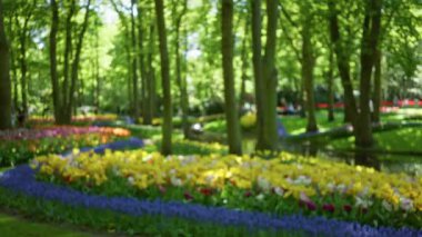 Bulanık park sahnesi. Canlı çiçekler ve güneş ışığında ağaçlar. Açık hava ortamında renkli bir bahçe sergileniyor..