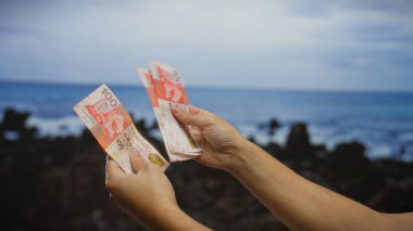 El ele tutuşan Hong Kong banknotları deniz kenarı bir fon üzerinde, mali yatırımı, dövizi ve ilham verici bir kıyı düzenlemesindeki açık hava ticaretini sembolize ediyor.