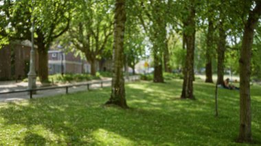 Barışçıl bir parkta, bulanık ağaçlar ve yeşil çimenler. Güneşli arka planda uzanan bir insan. Odaklanamadığı gün, odaklanamadığı zaman bokeh etkisi yaratan sakin bir ortam yaratıyor..