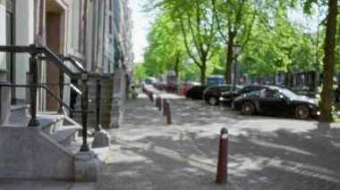 Park halindeki arabaların, yapraklı ağaçların, tarihi mimarinin ve kaldırıma gölge düşüren güneş ışığının olduğu Avrupai bir sokak manzarası..