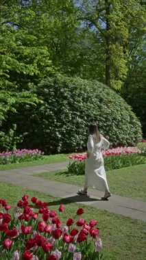 Yemyeşil ve güneş ışığıyla çevrili Lisse Hollanda 'daki canlı lale bahçesinde gezinen bir kadın.