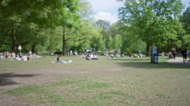 Güneşli bir günde ağaçlar ve çiçekler etrafa saçılmış yeşil bir parkta dinlenen insanların bulanık görüntüsü..