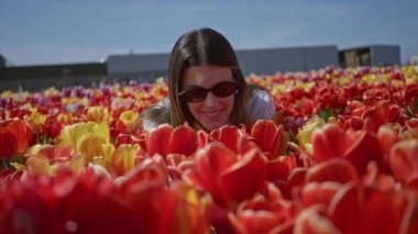 Neşeli lalelerin arasında gülümseyen kadın güneşli mavi gökyüzünün altında Lisse Hollanda 'da neşeli bahar özünü yakalıyor..