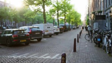 Park halindeki arabalarla, bisikletlerle ve yürüyen insanlarla dolu güneşli bir caddenin görüntüsü, Hollanda 'da şehir hayatının ve ulaşımın özünü yakalıyor..