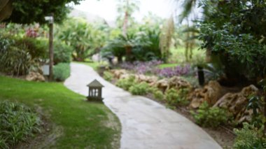 Bereketli yeşillik ve bokeh etkisine sahip bulanık tropikal tatil beldesi lüks bir ortamda barışçıl ve davetkar bir ortam yaratıyor..