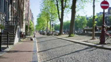 Açık mavi gökyüzünün altında ağaçlarla ve binalarla kaplı, kentsel sükunet ve yeşilliğin özünü yansıtan, parke taşlı bir Avrupa caddesinin bulanık görüntüsü.