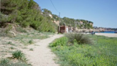 Mallorca 'daki Cala Llombards plajının bulanık manzarası. Net gökyüzü altında yeşil alanlarla çevrili..