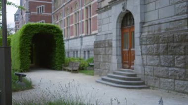 Bulanık resim, arka planda taş basamaklar ve yemyeşil kemerli tarihi bir binanın, sakin bir ortamda yumuşak bir bokeh etkisi yaratan odaklanmış görünümünü resmeder..