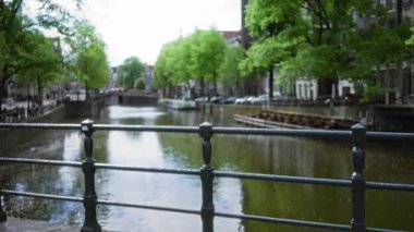 Yeşil ağaçlar ve demir korkulukların bulunduğu bulanık bir kanal manzarası Hollanda 'daki sakin kentsel manzarayı vurguluyor..