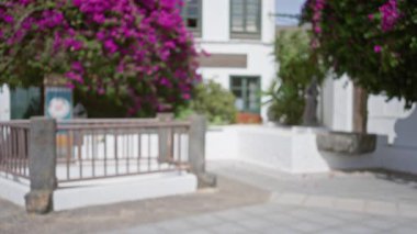 Renkli çiçeklerin olduğu bulanık bir açık hava sahnesi ve Lanzarote, İspanya, canlı doğa ve yerel cazibe ile geleneksel mimari.