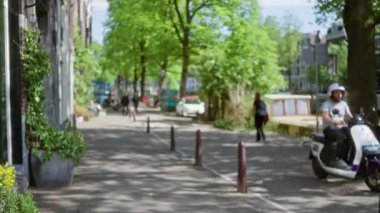 Amsterdam sokak manzarası bulanık yayalar, yeşil ağaçlar ve sakin bir şehir manzarası yaratan sakin bir kanal..