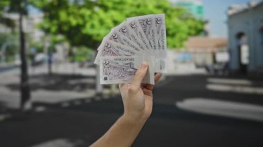 Singapur banknotları tutan adam güneşli bir şehir caddesinde canlı yeşil bir arka plana karşı kentsel yaşamın ve finansal başarının özünü yakalıyor..