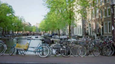 Arka planda bulanık ağaçlar bulunan manzaralı amfibi kanalda dizilmiş bisikletler, Hollanda 'da huzurlu bir kentsel ortam izlenimi uyandırıyor..