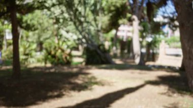 Güneşli bir günde açık havada ağaçların ve yeşil yaprakların olduğu bulanık park manzarası