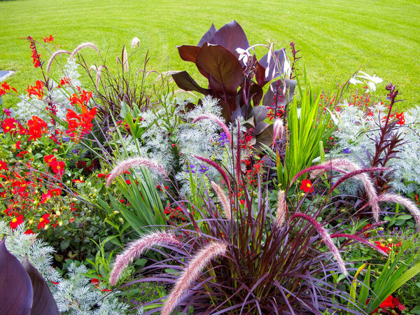 Детали цветочного сада с множеством различных растений