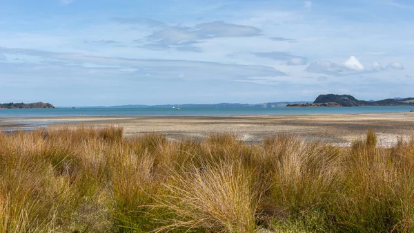 Plaża Kawakawa Podczas Odpływu Słoneczny Letni Dzień Auckland — Zdjęcie stockowe