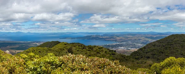 Озеро Таупо Міська Панорама Північний Острів Нова Зеландія — стокове фото