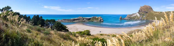 キャッスルポイントビーチパノラマ風景 ニュージーランド ストック画像