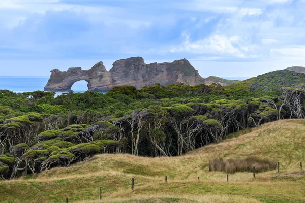 Вид Пляж Арквейські Острови Золота Затока Нова Зеландія — стокове фото