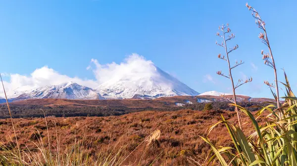Schneebedeckter Vulkan Tongariro Nationalpark Neuseeland lizenzfreie Stockbilder