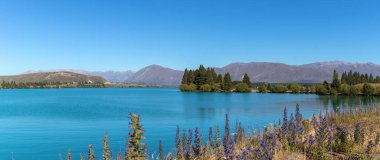 Ruataniwha Gölü Panorama, Güney Adası, Yeni Zelanda