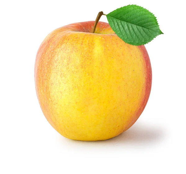 Κόκκινο Κίτρινο Μήλο Που Απομονώνονται Λευκό Φόντο — Φωτογραφία Αρχείου