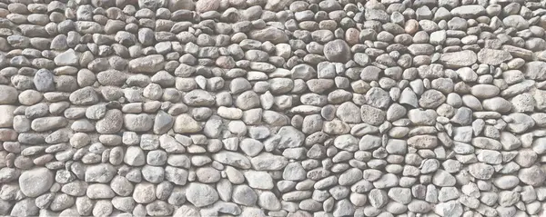 Solid panoramic texture of a brick wall made of large pebbles. Gray background from round stones
