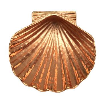 Metalik boyayla boyanmış bir deniz tarağının altında