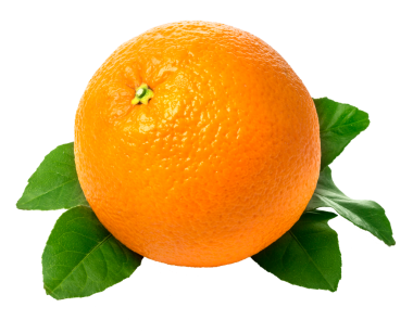 yaprak taze turuncu meyve