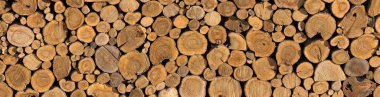 Wall of firewood, background of dry chopped firewood. Alternative fuel concept. Wide angle shot of natural background. Panoramic image in banner clipart