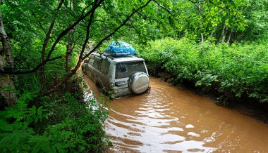Turist arabası uzak bir ormandaki su birikintisinin içinden geçiyor.