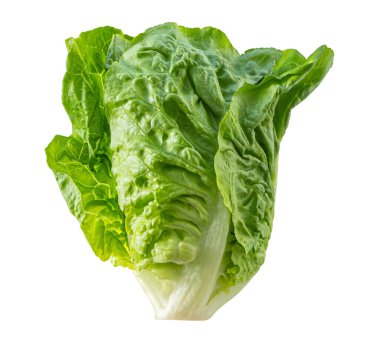 Beyaz arka planda yeşil marul yaprağı, damarlarını ve dokusunu gösteriyor, sağlıklı beslenmek ve vejetaryen kavramları için mükemmel.