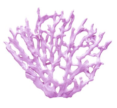 Açık mor bir gorgonyan mercanının yakın planında şeffaf bir arkaplan, hassas ve karmaşık yapısını gözler önüne seriyor.