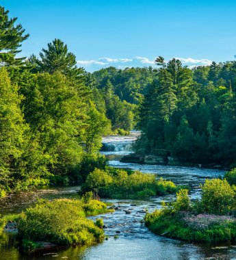Summer Foilage around Lower Tahquamenon Falls river flow
