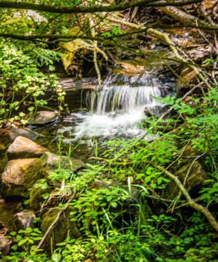 Smaller water fall down from Sable main flow Northern Michigan forest