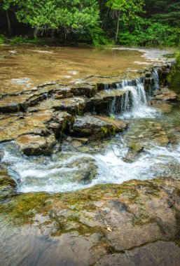 Mineral color display from water leaking from rock floor