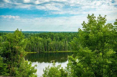Kuzey Michigan Ormanı 'nda yosun kaplı granit taş