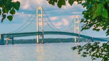 Mackinac Köprüsü Mackinac City Park Sahili 'ndeki ağaçlar tarafından çerçevelenmiş.