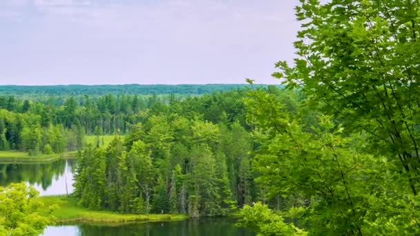 Vast View Northern Michigan Scenery Overlook Deck High Forest — Stockvideo