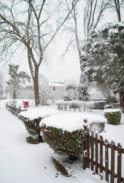 Inverno Scena Neve Bagnata Nel Clima Rurale Michigan — Foto Stock