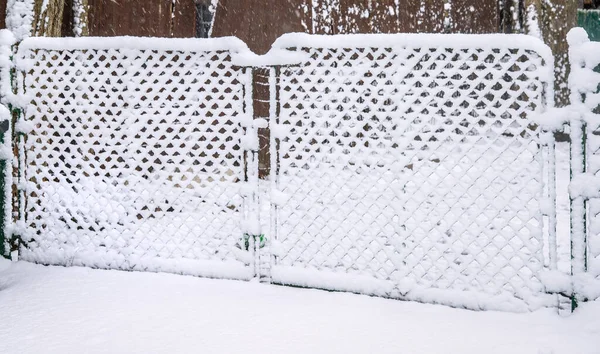 Natte Sneeuw Bedekken Omheinde Achtertuin Michigan Winterweer — Stockfoto